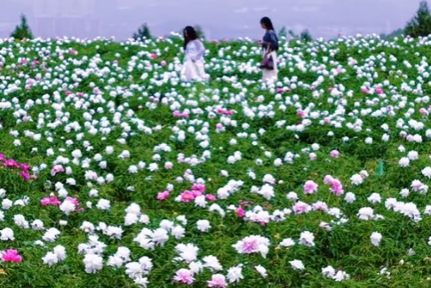 三星堆周围有什么景点？