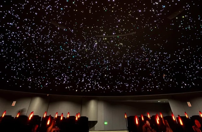 2026.2.3带孩子去三星堆劝退经历！！！